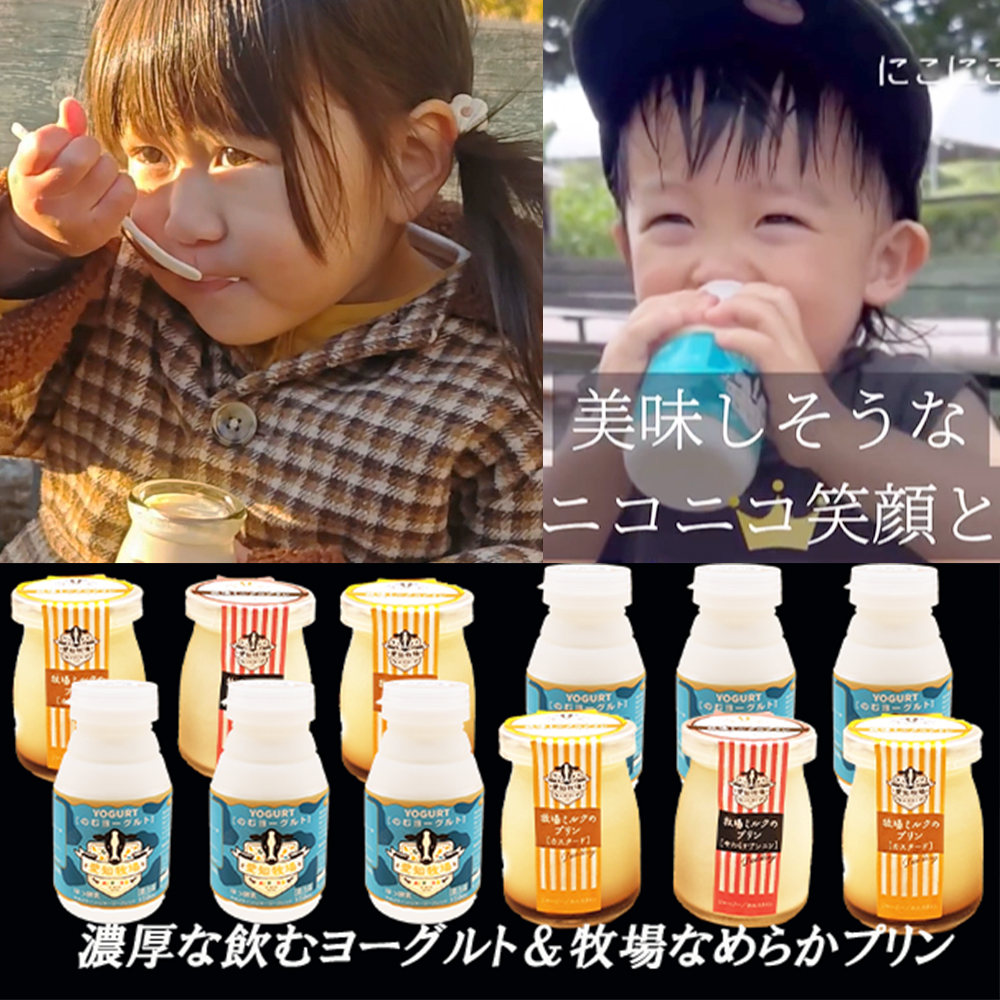 愛知牧場　冷蔵セット（飲むヨーグルト6本＆カスタードプリン4個、杏仁プリン2個）