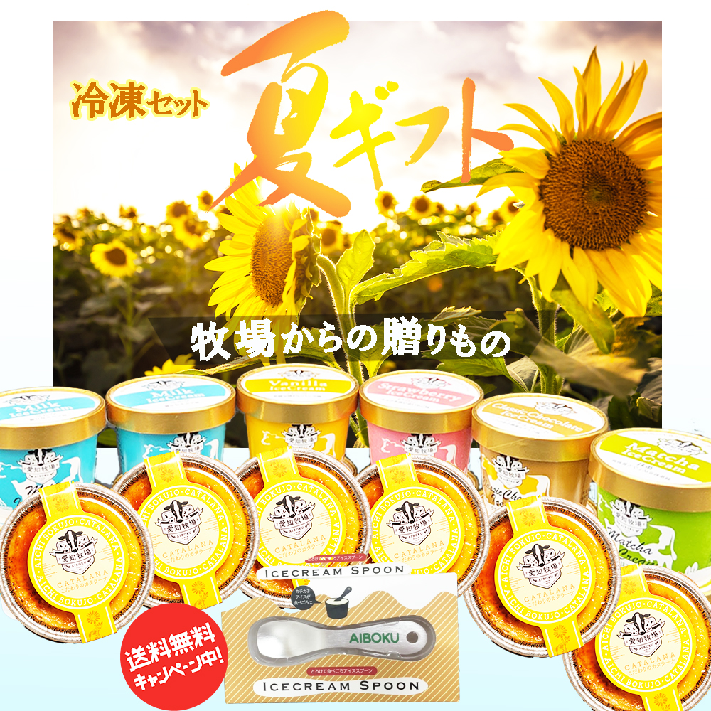 夏ギフト　冷凍セット　【送料無料】
